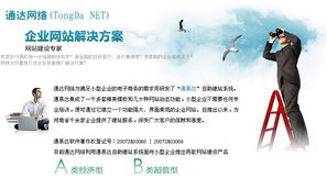 濮陽通達(dá)網(wǎng)絡(luò) 為小型企業(yè)量身打造專業(yè)網(wǎng)站解決方案與推廣服務(wù)